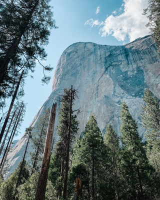 The Rock of Revelation