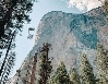 The Rock of Revelation